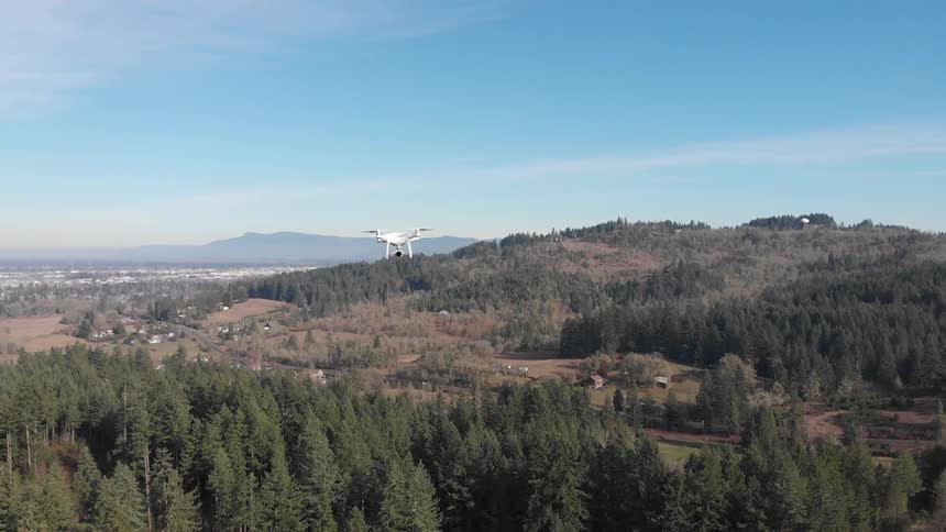A drone flies over evergreen trees