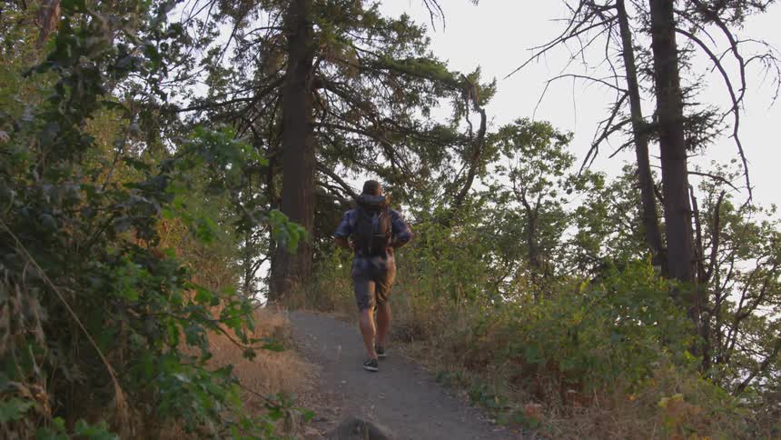 Man wearing striped shirt and backpack walks uphill amongst trees at sunset