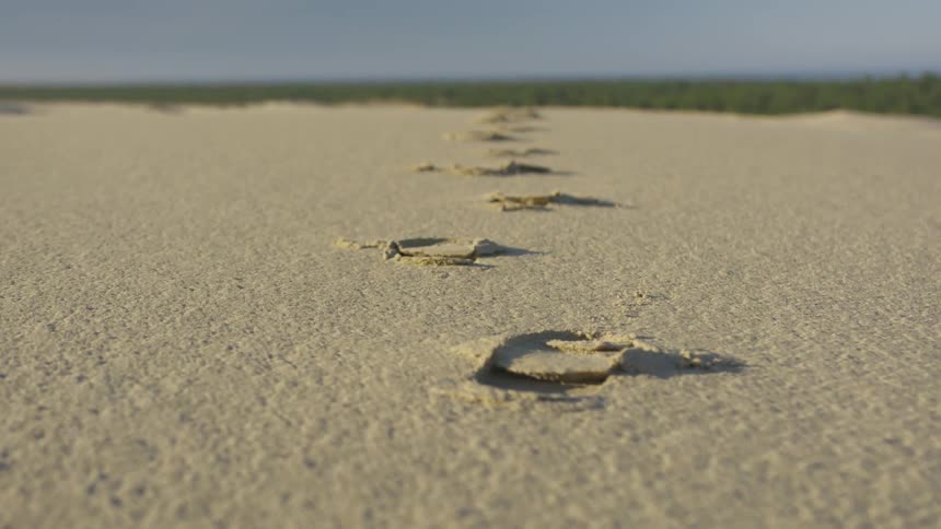 The breeze gently blows the sand on the beach