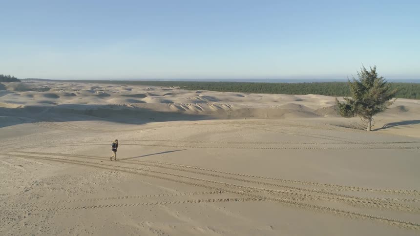 A man walks alone in a expansive desert area that is crossed with vehicle tracks in the sand as a dense forest can be seen in the background