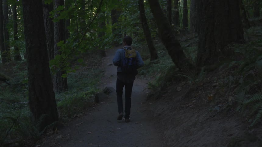 Man walks on path in the forest