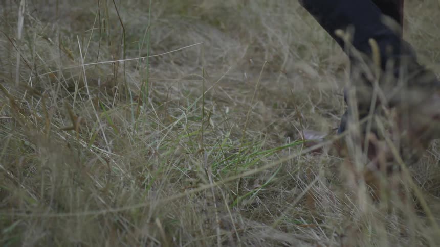 A person in brown leather shoes and blue jeans is walking through a slightly dry grassy area