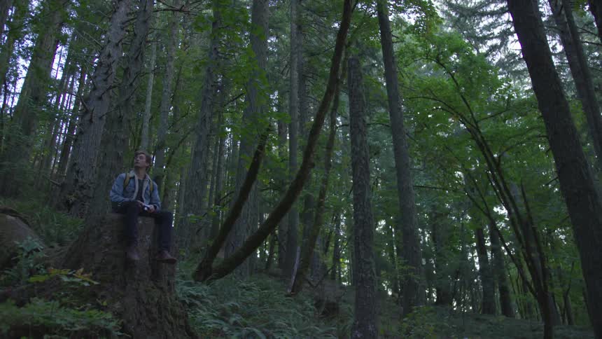 Man sits on tree trunk in forest