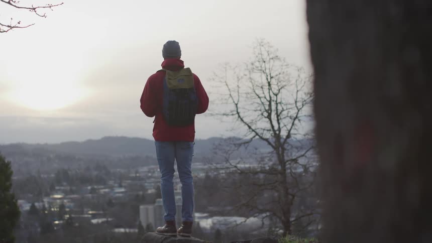 A man standing on a rock looking to the city
