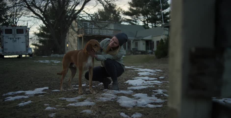 A person petting a dog