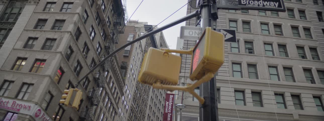 New York City Scenics