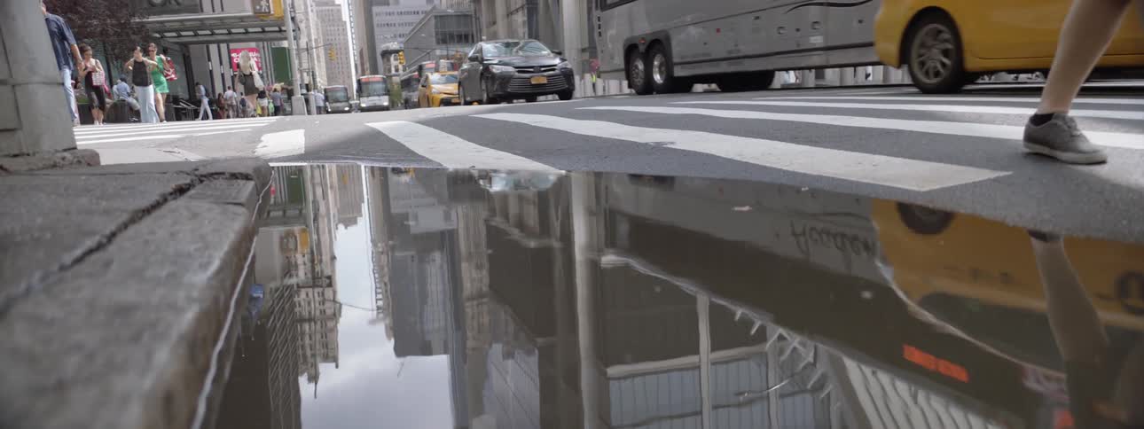 New York City Scenics