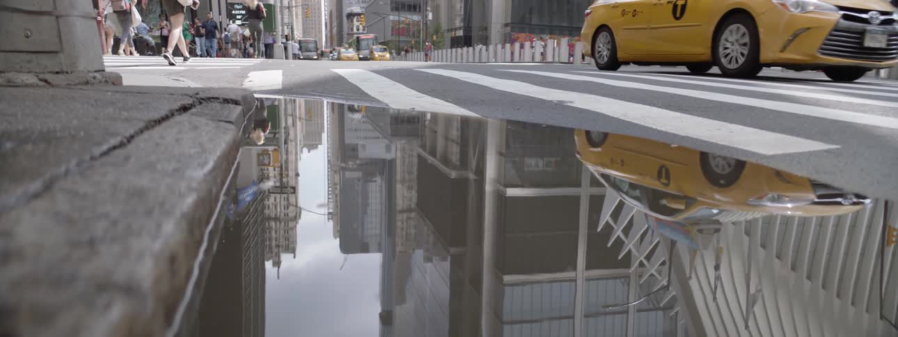 New York City Scenics