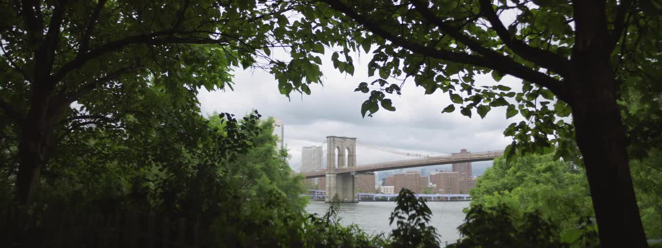Man Living In New York City