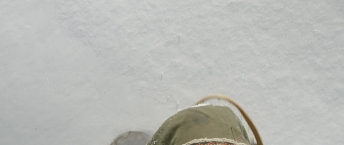 People In Northern Wilderness