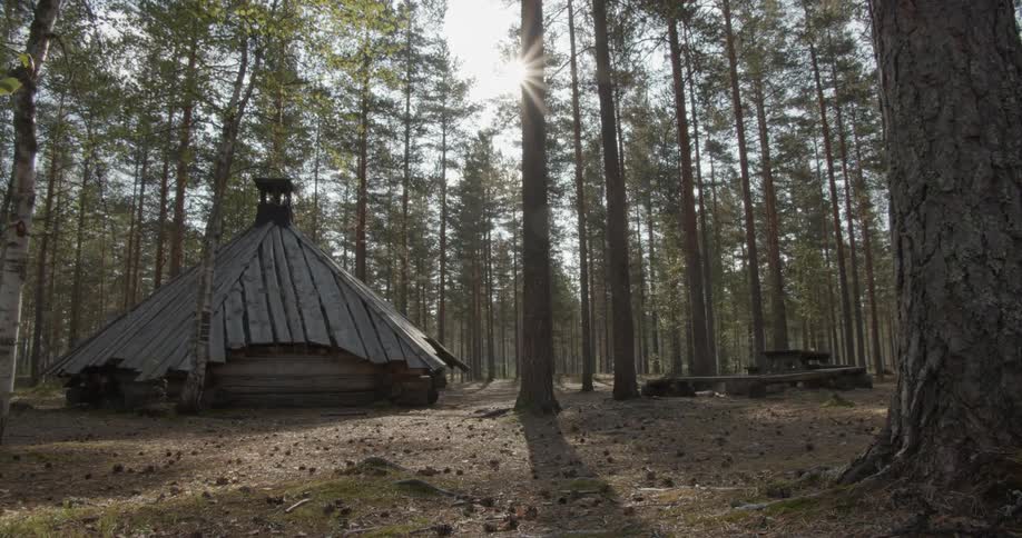 Wilderness hut camping in a pine forest