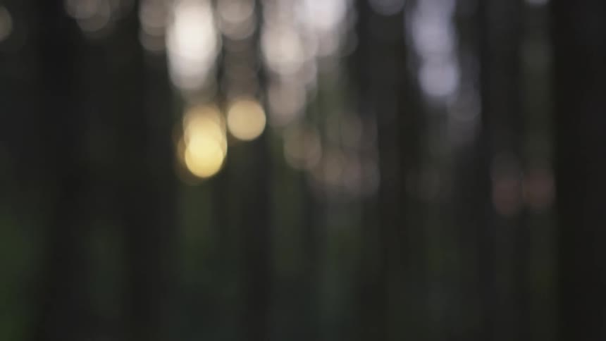 Man Jogging Through Forest