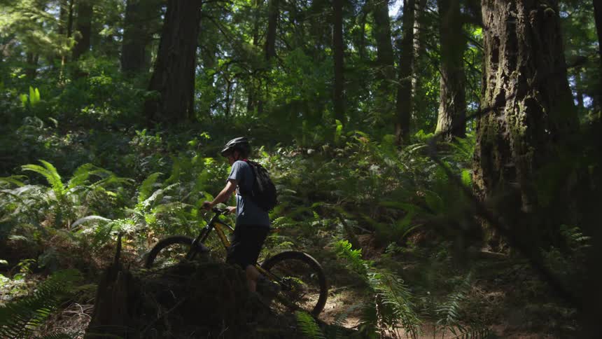 Man Mountain Biking In Forest