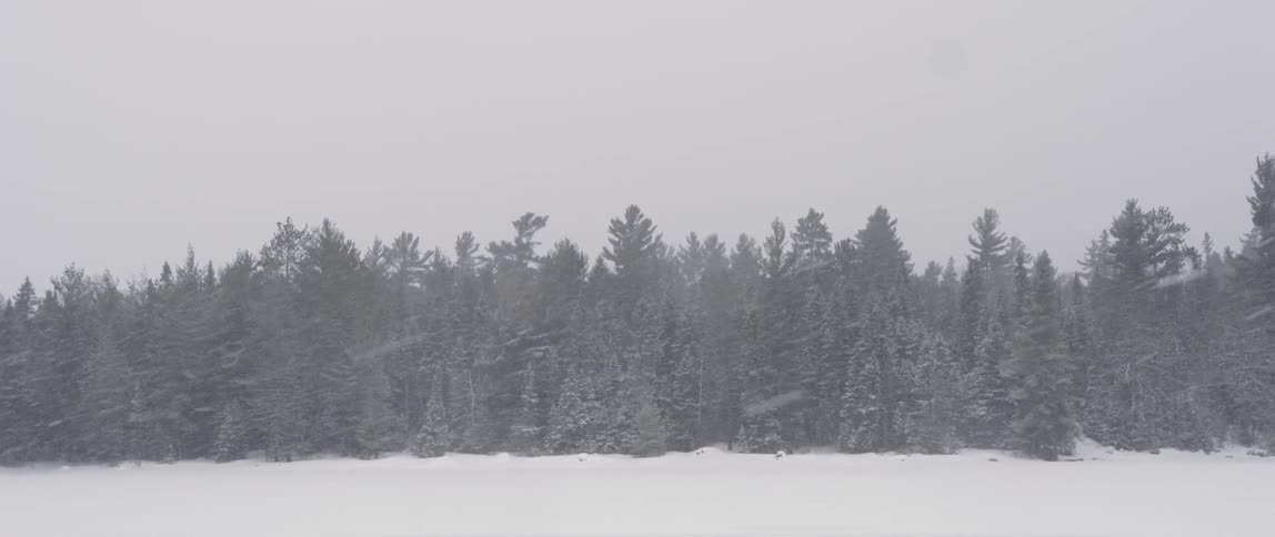 People In Northern Wilderness
