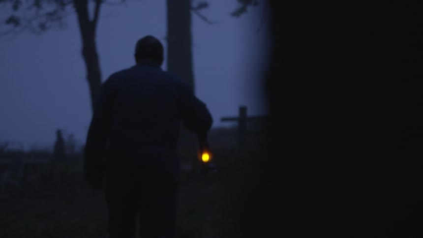 Man Reading Bible In Forest