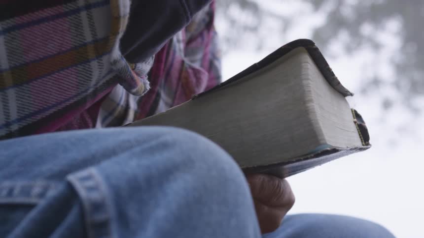 Man Reading Bible In Forest