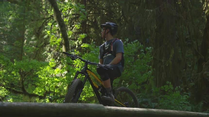 Man Mountain Biking In Forest