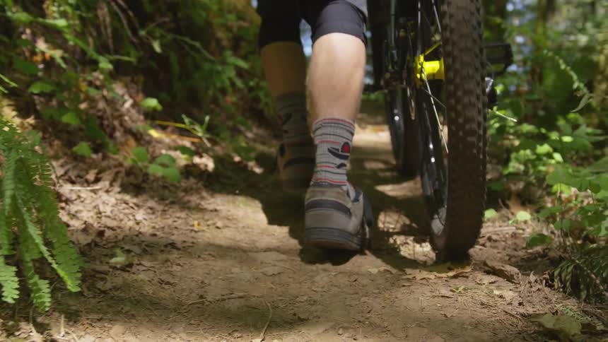 Man Mountain Biking In Forest