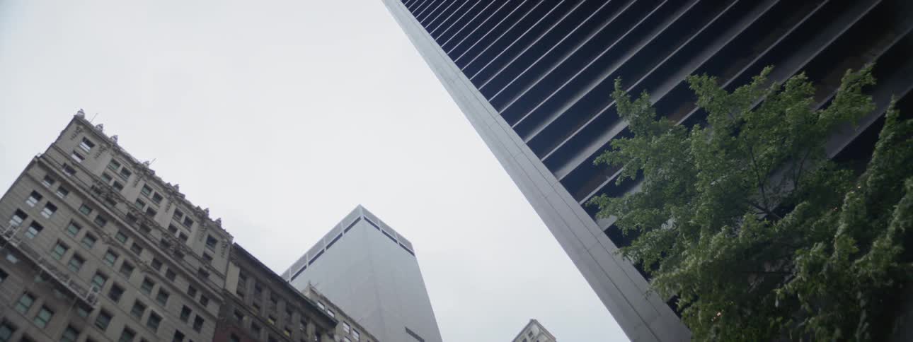 New York City Scenics