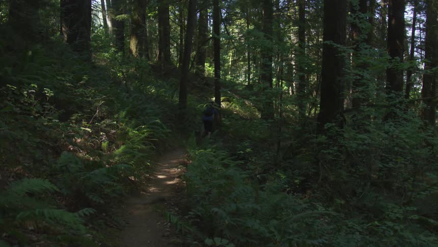 Man Mountain Biking In Forest