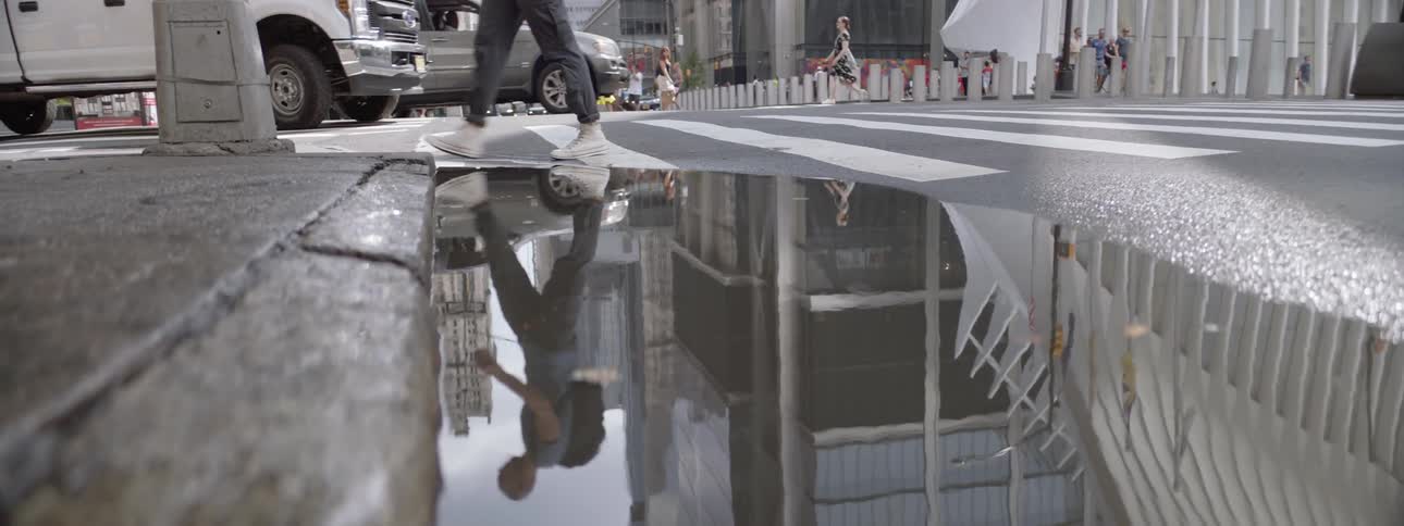 New York City Scenics