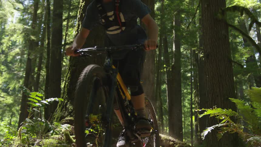 Man Mountain Biking In Forest