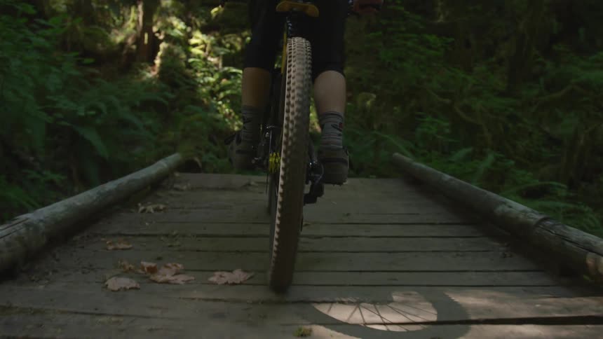Man Mountain Biking In Forest