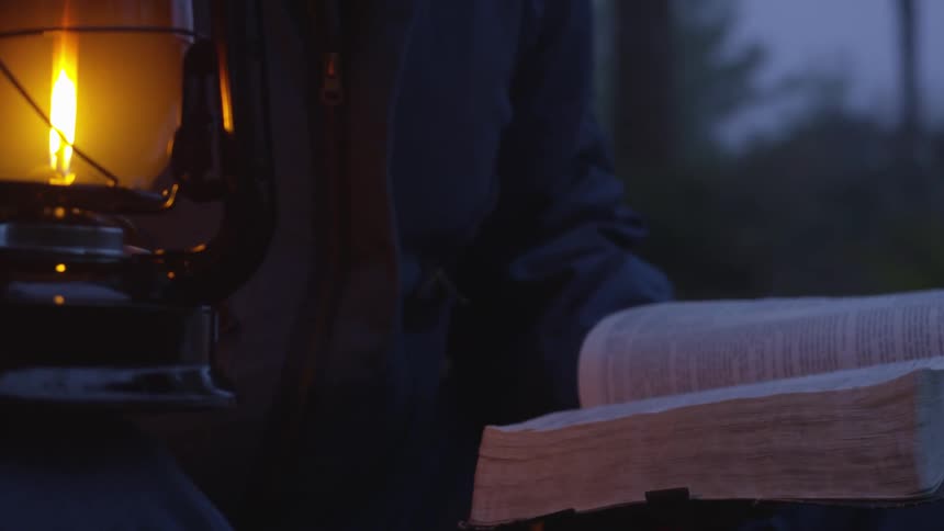 Man Reading Bible In Forest