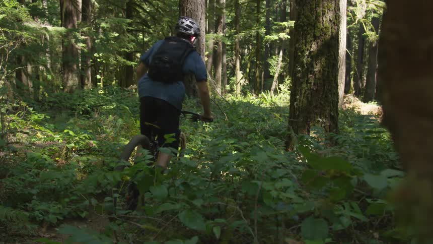Man Mountain Biking In Forest