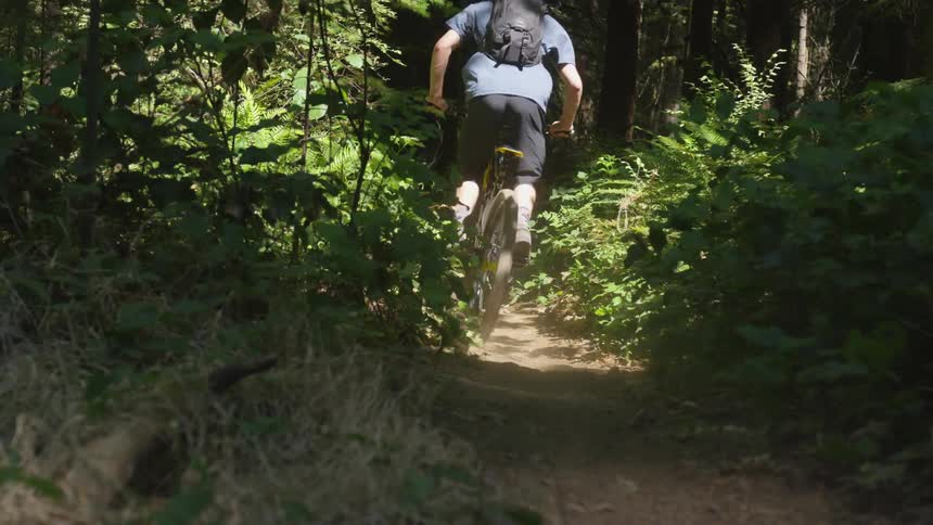 Man Mountain Biking In Forest