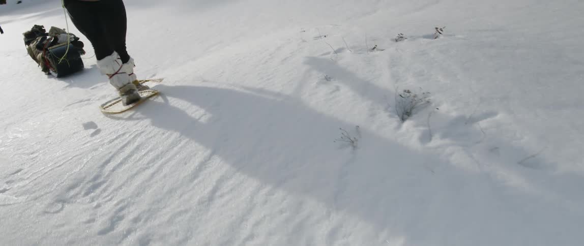 People In Northern Wilderness