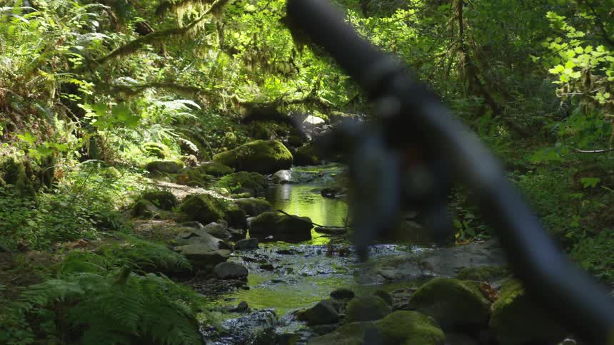 Man Mountain Biking In Forest
