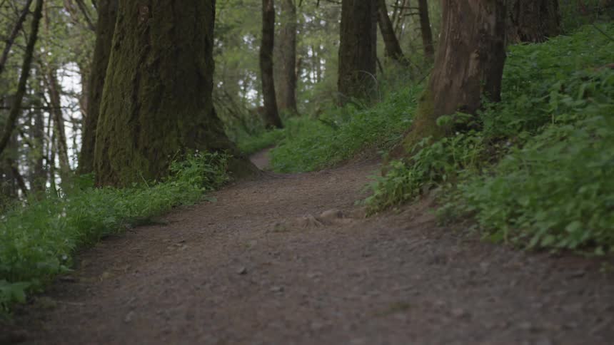 Man Jogging Through Forest