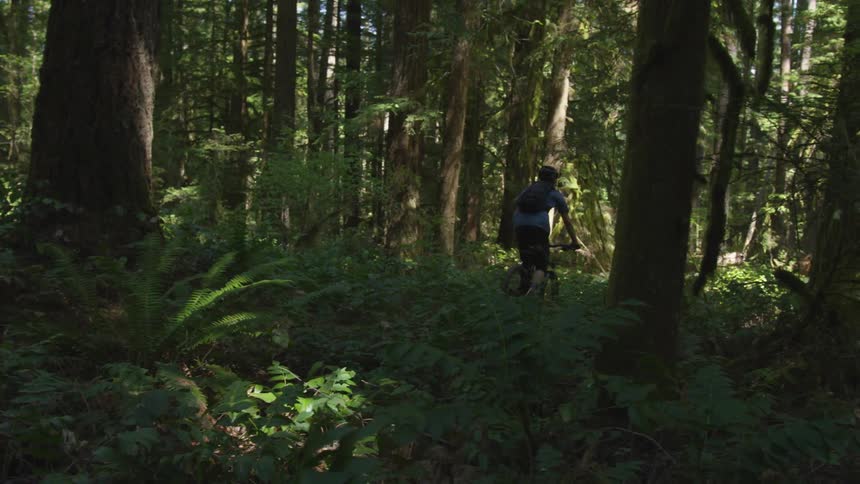 Man Mountain Biking In Forest