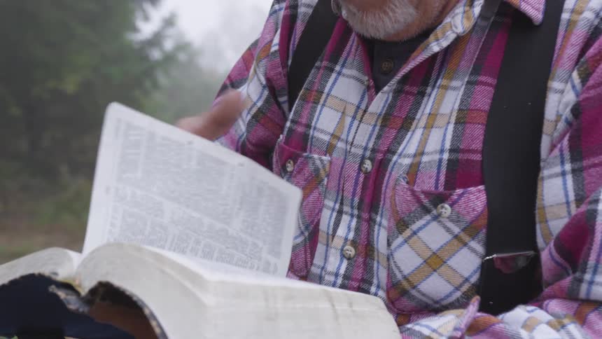 Man Reading Bible In Forest
