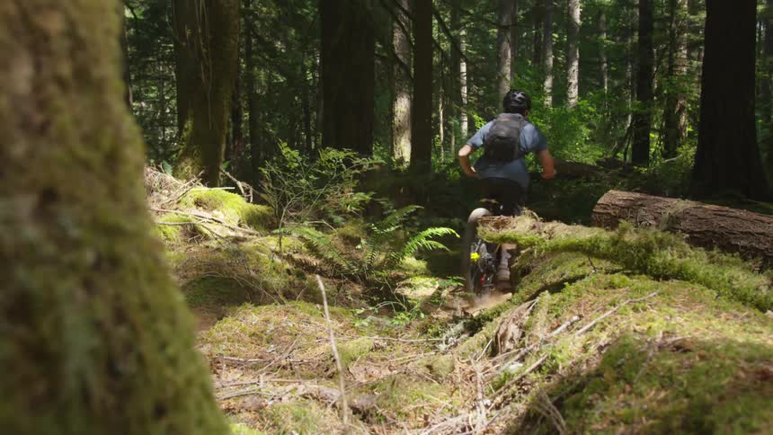 Man Mountain Biking In Forest