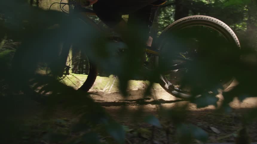 Man Mountain Biking In Forest