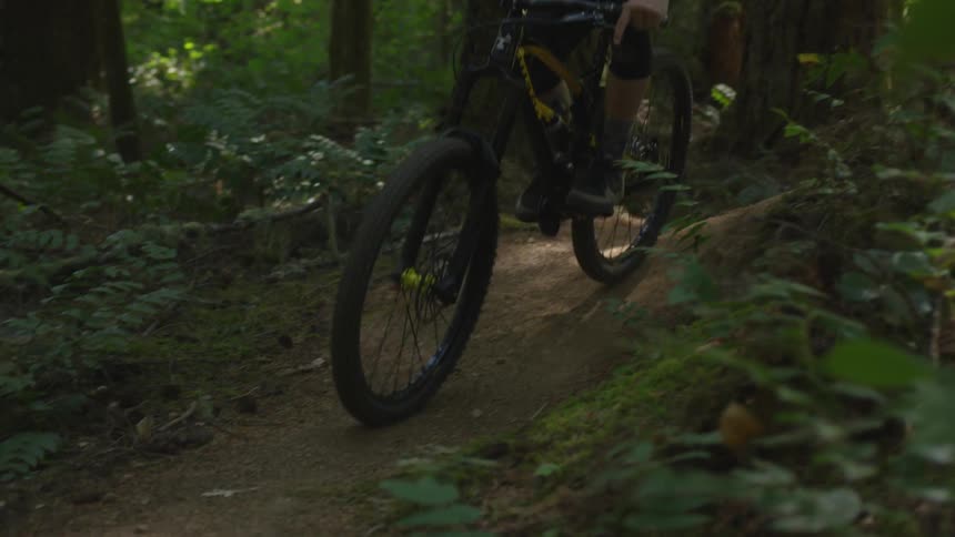 Man Mountain Biking In Forest