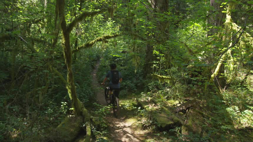 Man Mountain Biking In Forest