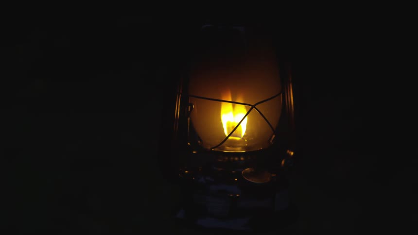 Man Reading Bible In Forest