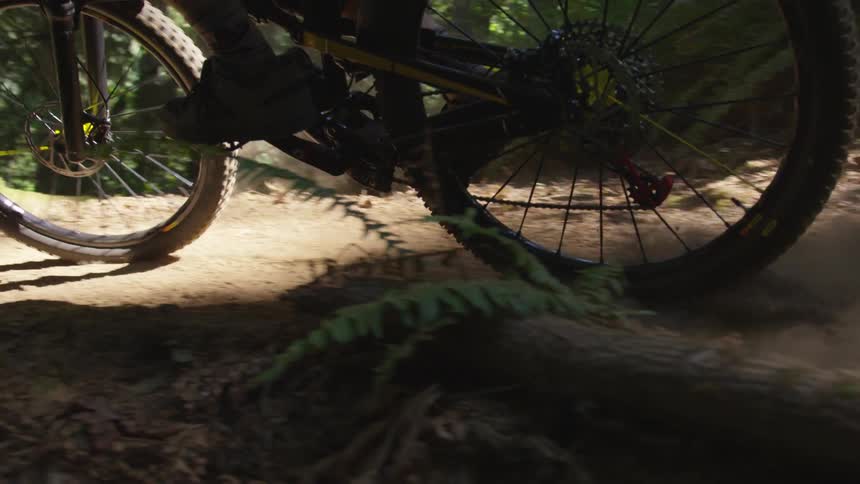 Man Mountain Biking In Forest