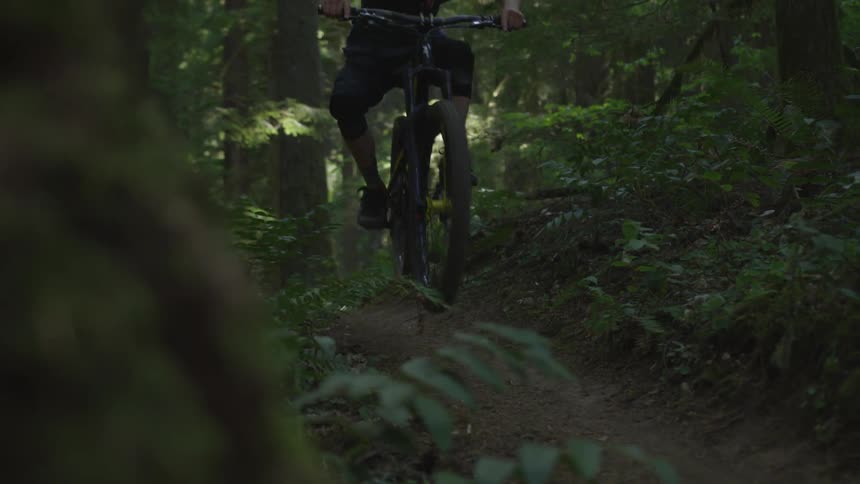 Man Mountain Biking In Forest