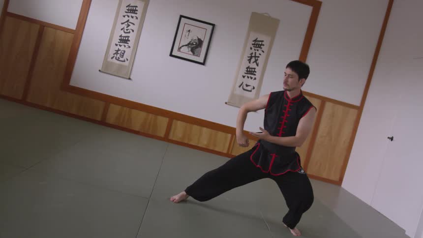Man Practicing Asian Fighting Techniques