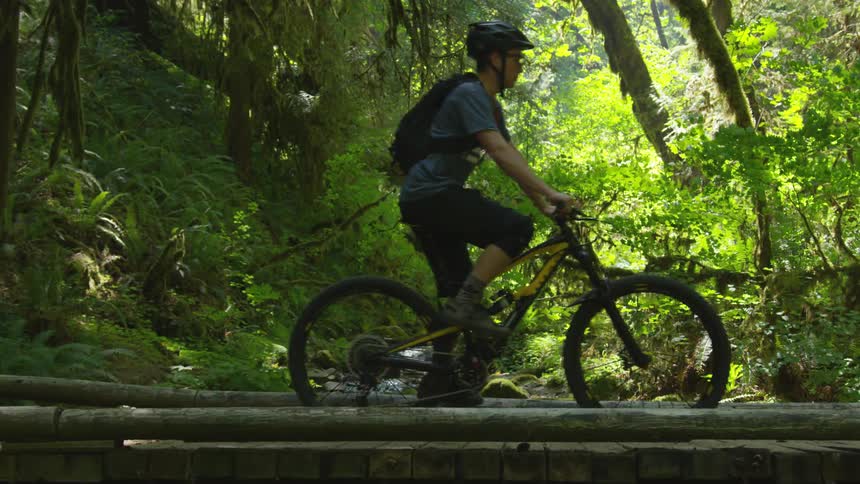 Man Mountain Biking In Forest