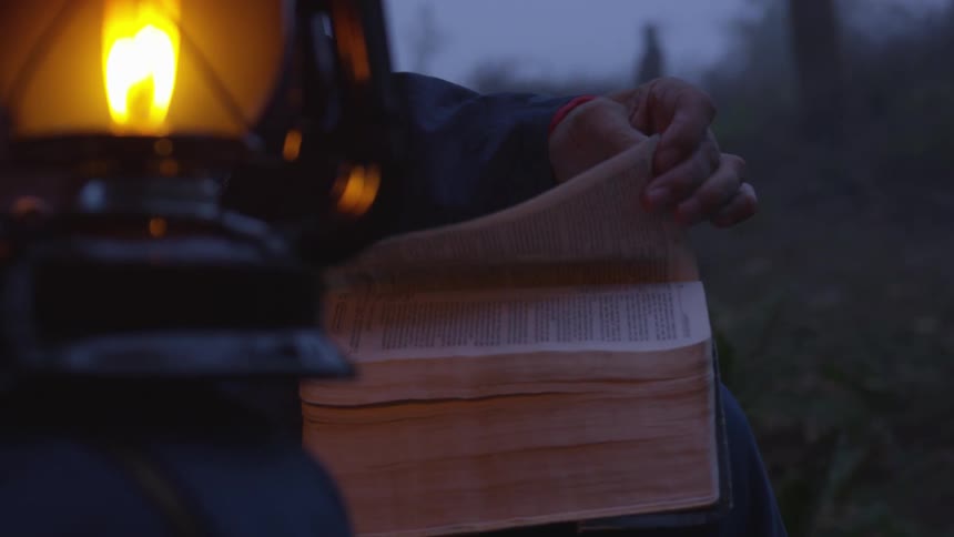 Man Reading Bible In Forest