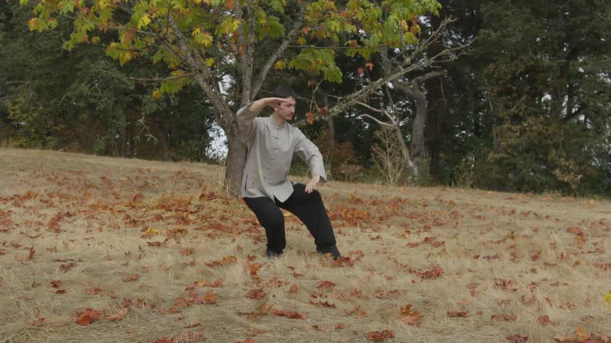Man Practicing Asian Fighting Techniques