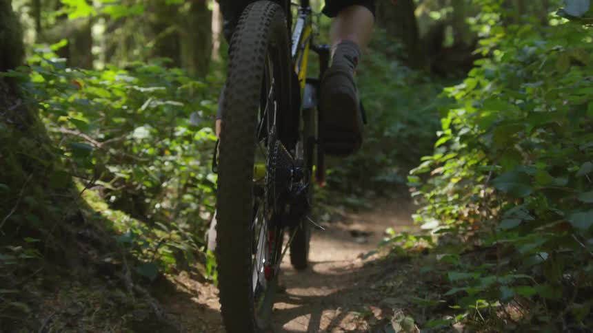 Man Mountain Biking In Forest