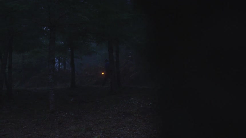 Man Reading Bible In Forest