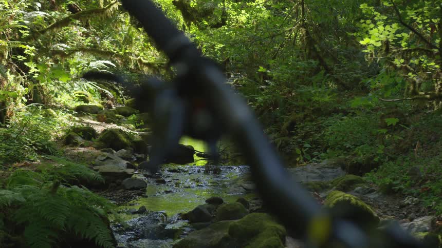 Man Mountain Biking In Forest