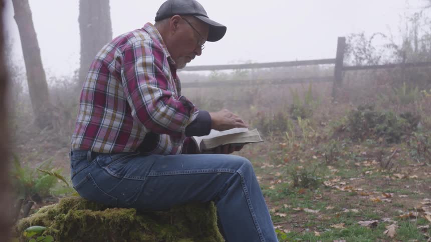 Man Reading Bible In Forest